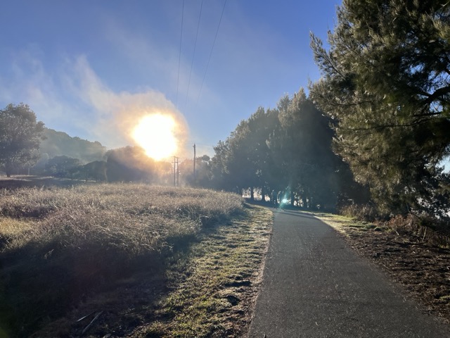 A photo of the bike path.